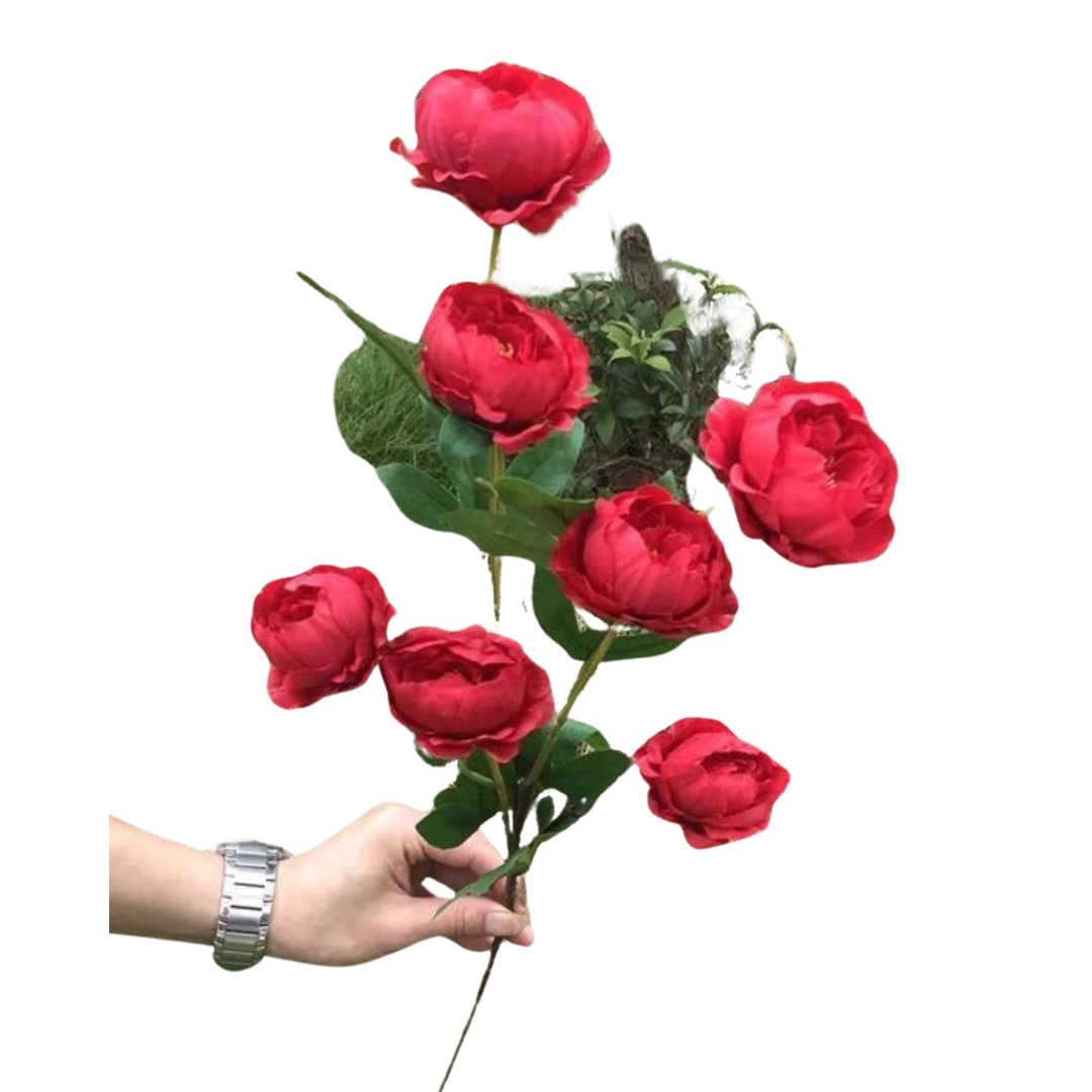 product-photo