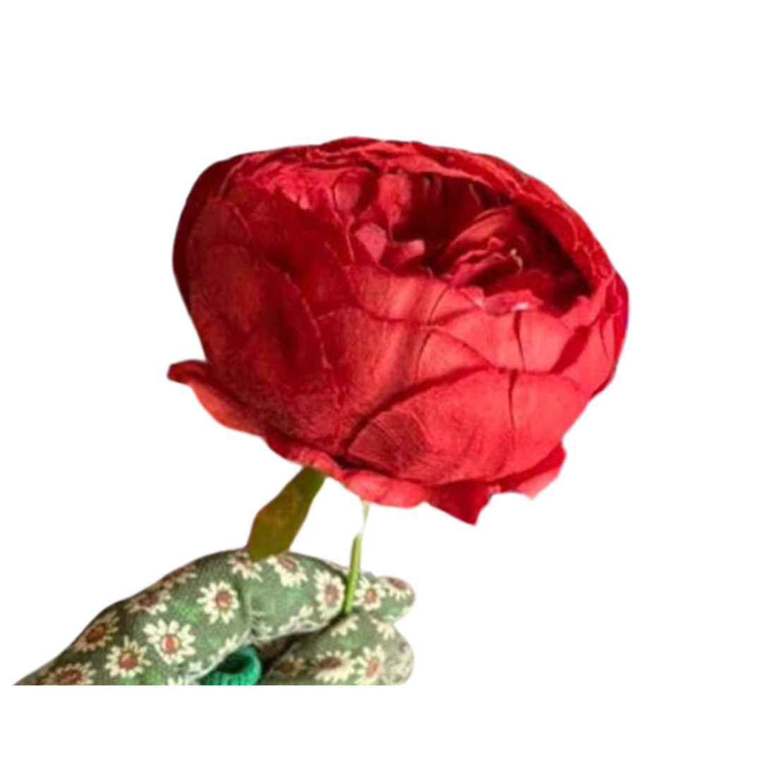 product-photo