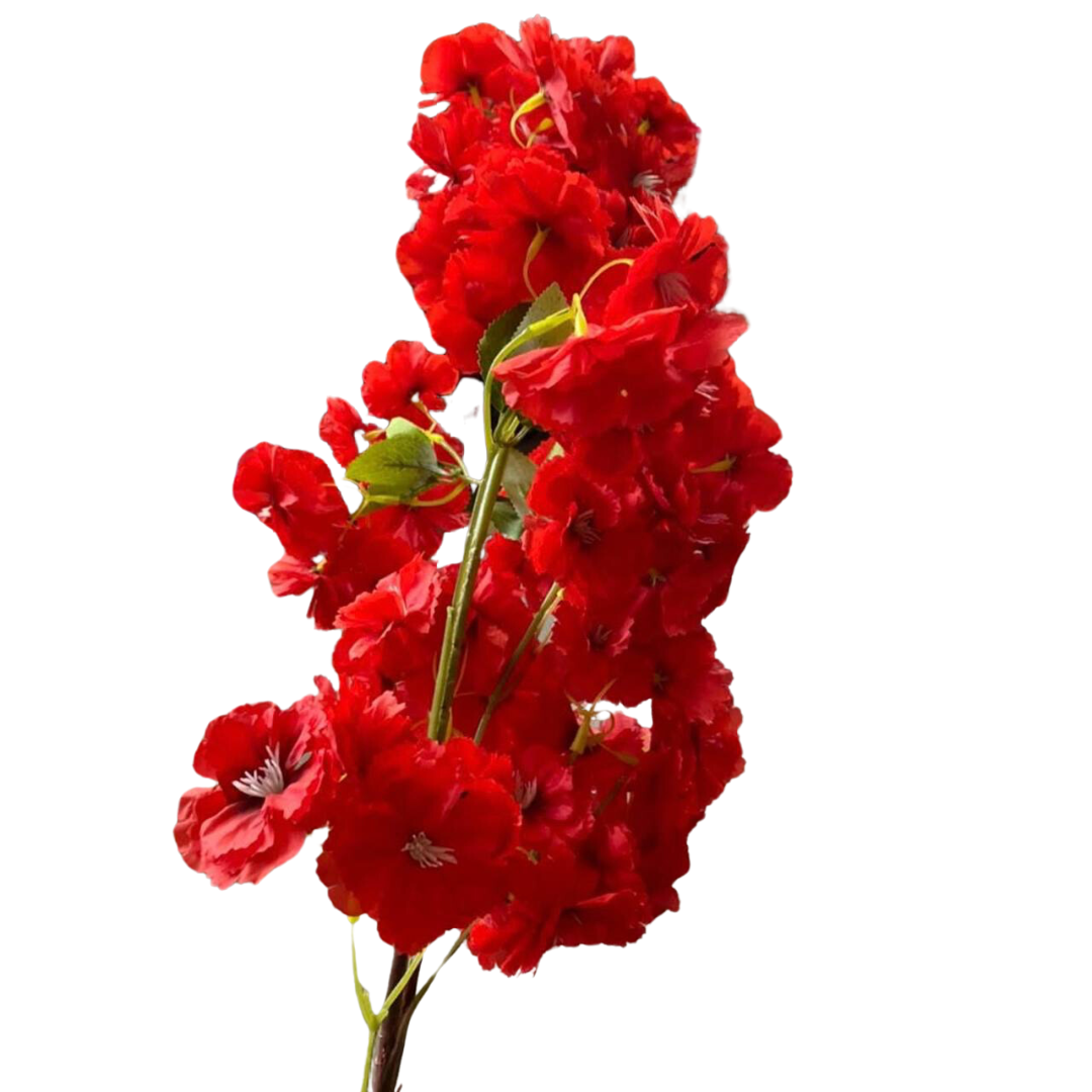 product-photo