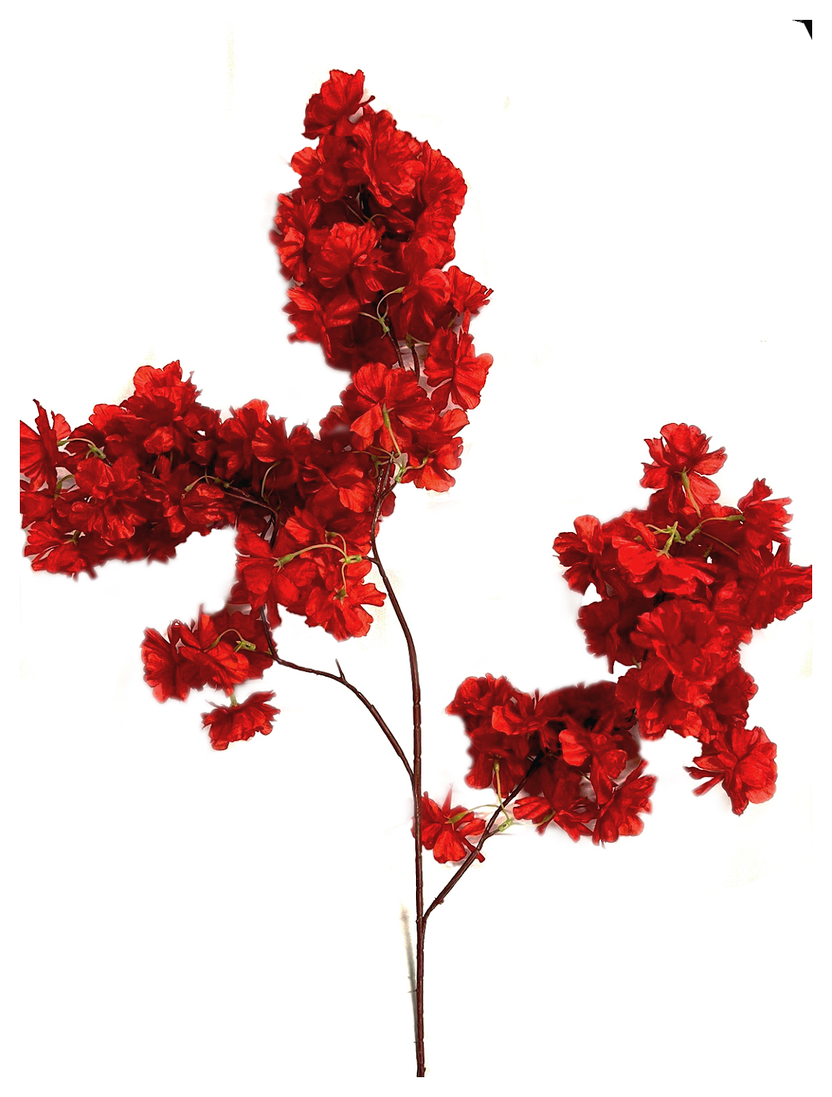product-photo