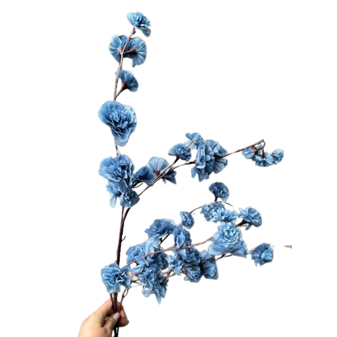 product-photo