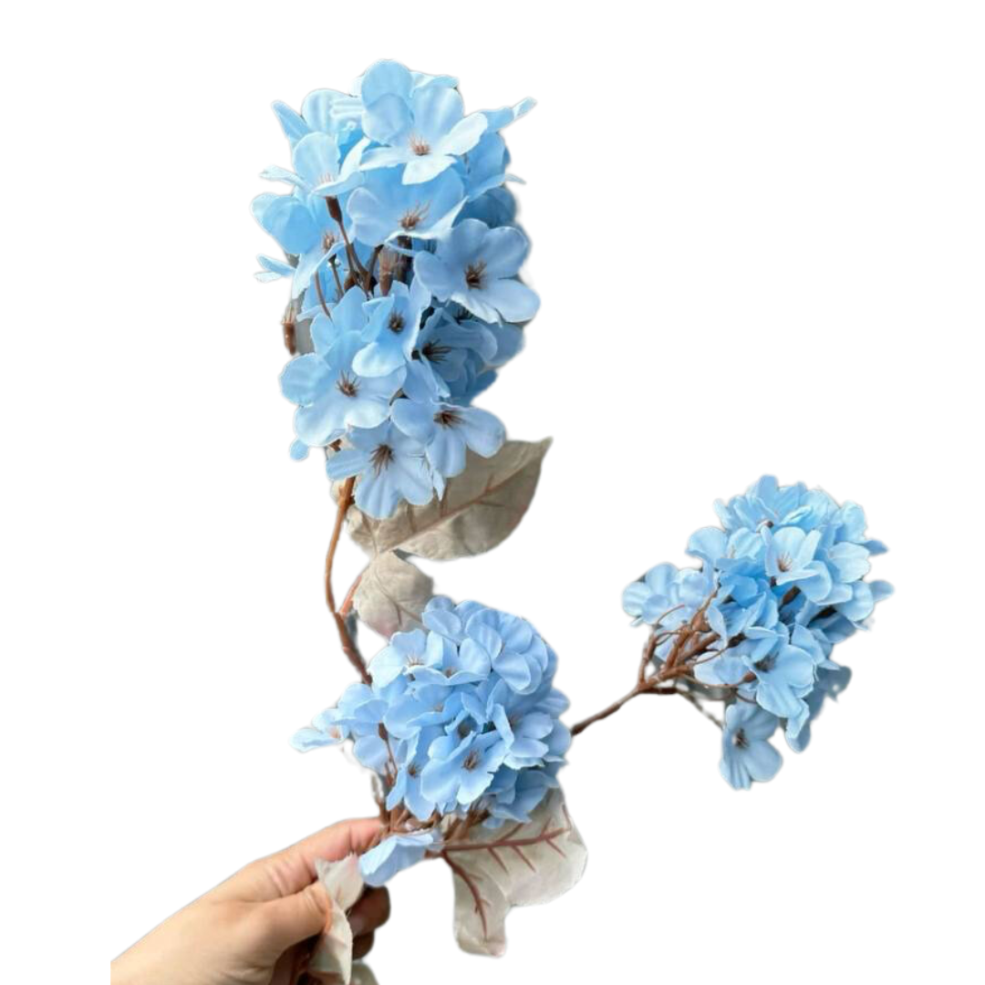 product-photo