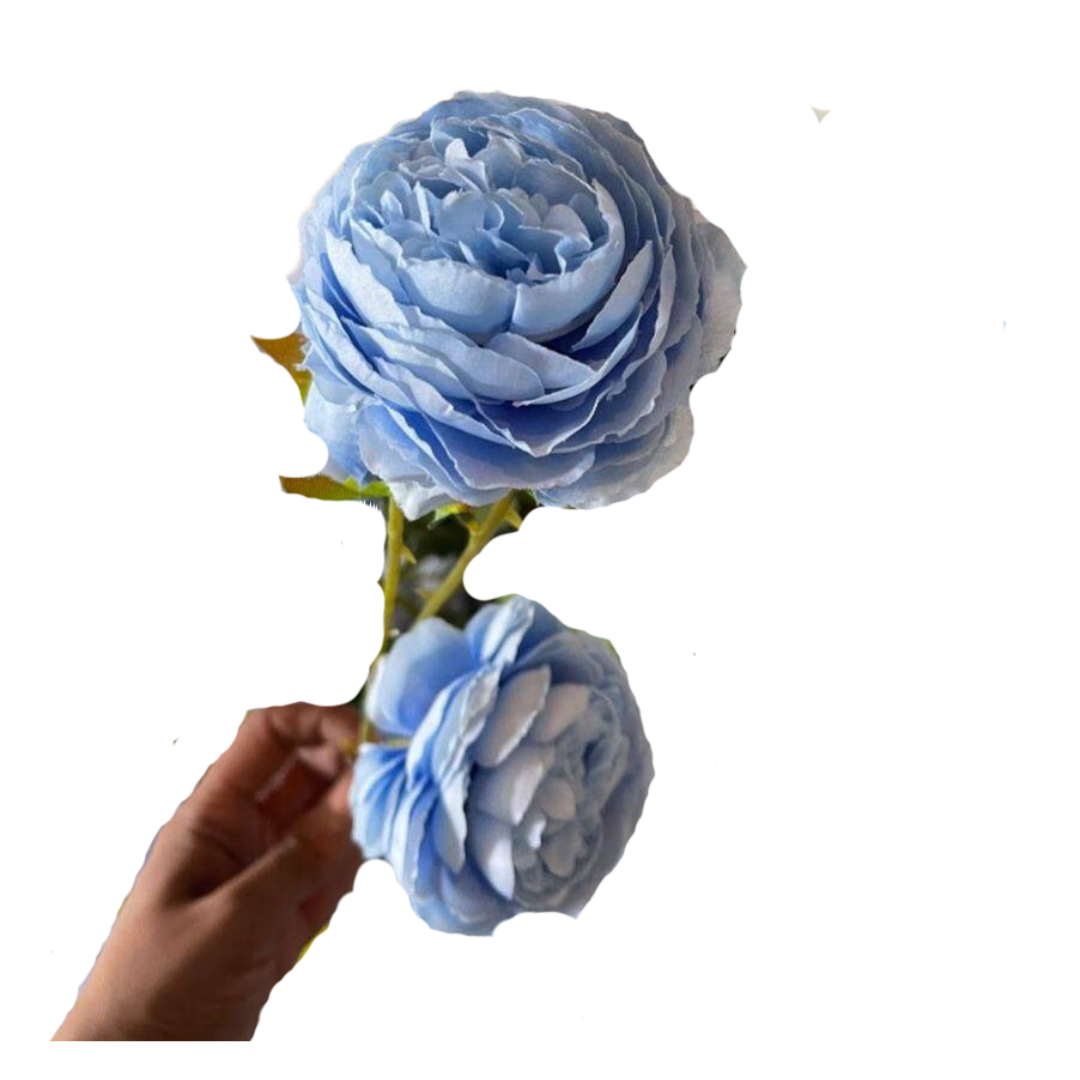 product-photo