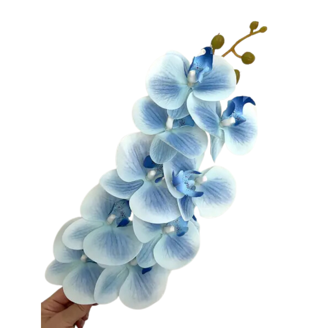product-photo