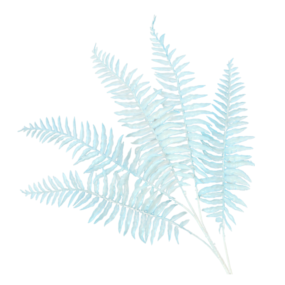 product-photo