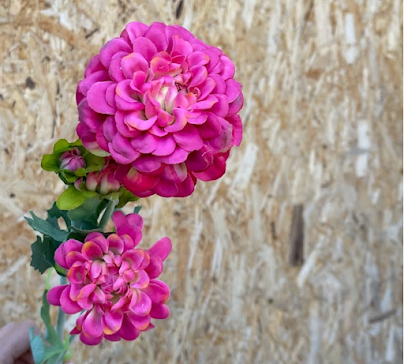 product-photo