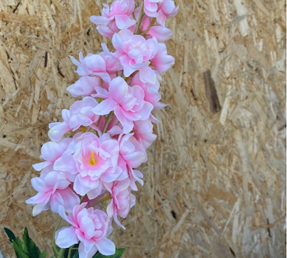 product-photo