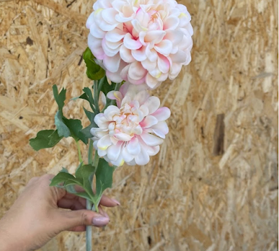 product-photo