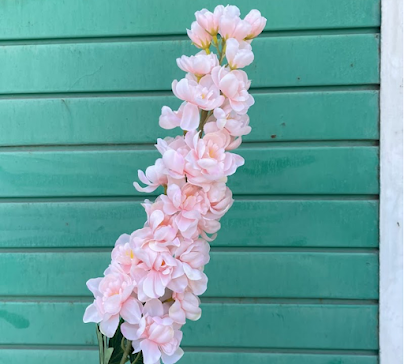 product-photo