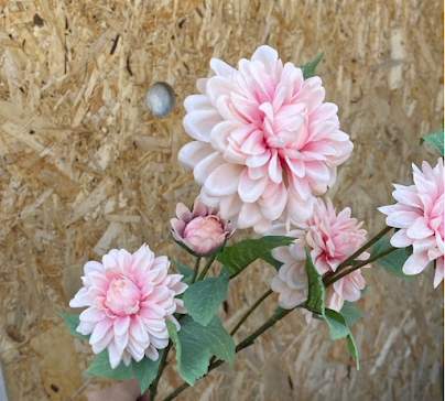 product-photo