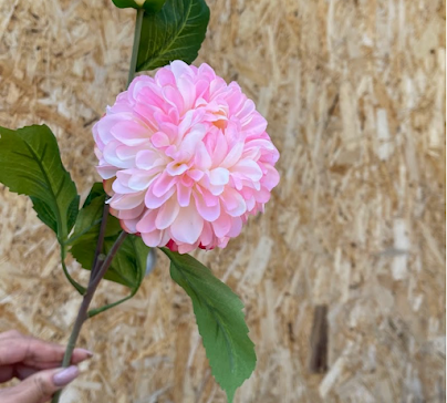 product-photo