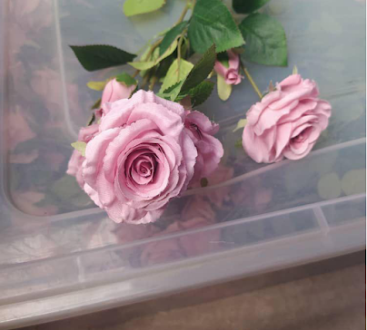 product-photo