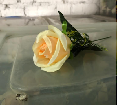 product-photo
