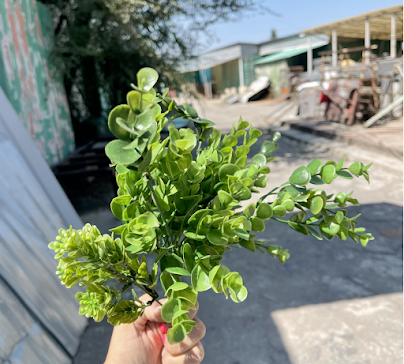 product-photo