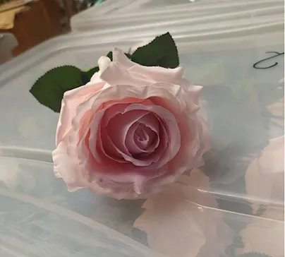 Розовые / Малиновые / Пудра