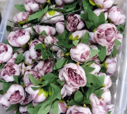 Фиолетовые / Лиловые